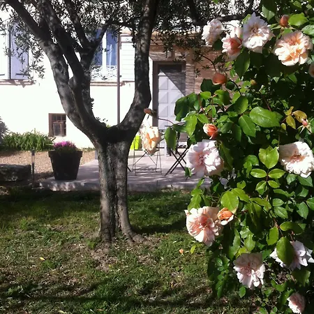 Le Jas Vieux Montfort (Alpes-de-Haute-Provence)