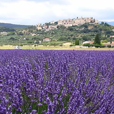 Le Jas Vieux