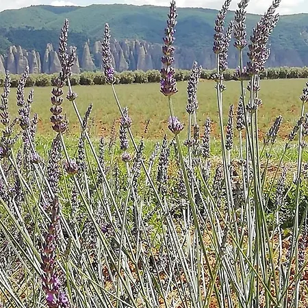 Le Jas Vieux Bed & Breakfast 3*