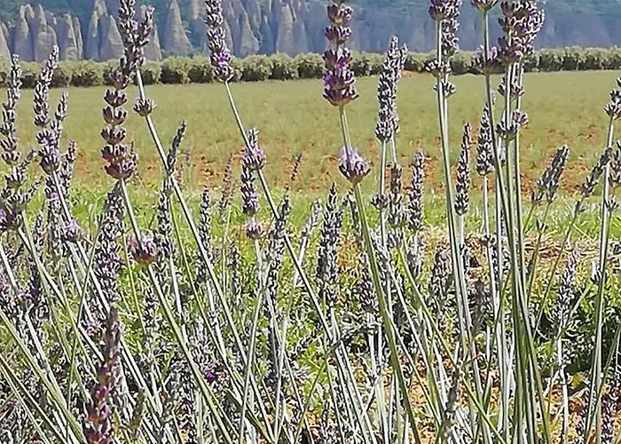 Le Jas Vieux Bed & Breakfast 3*